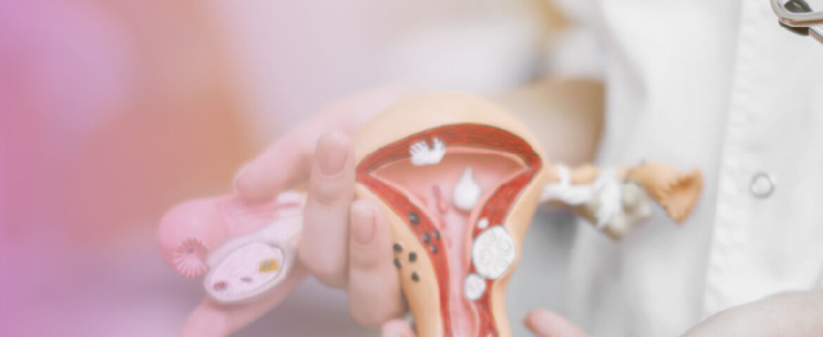 Corso Incontinenza urinaria femminile – DOCENTI D.O. Brero Rita | Putzulu Daniela